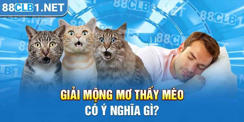 Giải mộng mơ thấy mèo có ý nghĩa gì?