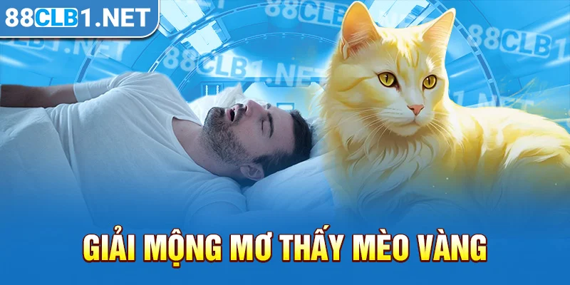 Giải mộng mơ thấy mèo vàng