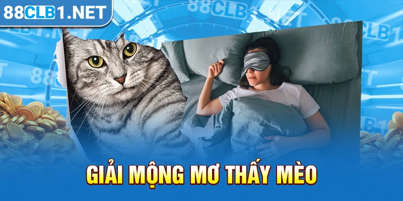 Giải Mộng Mơ Thấy Mèo