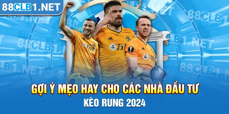 Gợi ý mẹo hay cho các nhà đầu tư kèo Rung 2024