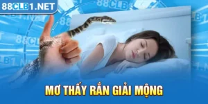 mơ thấy rắn giải mộng