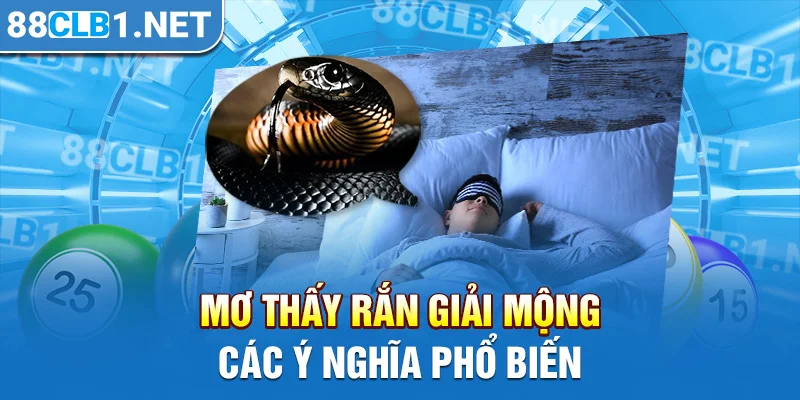 Mơ thấy rắn giải mộng các ý nghĩa phổ biến