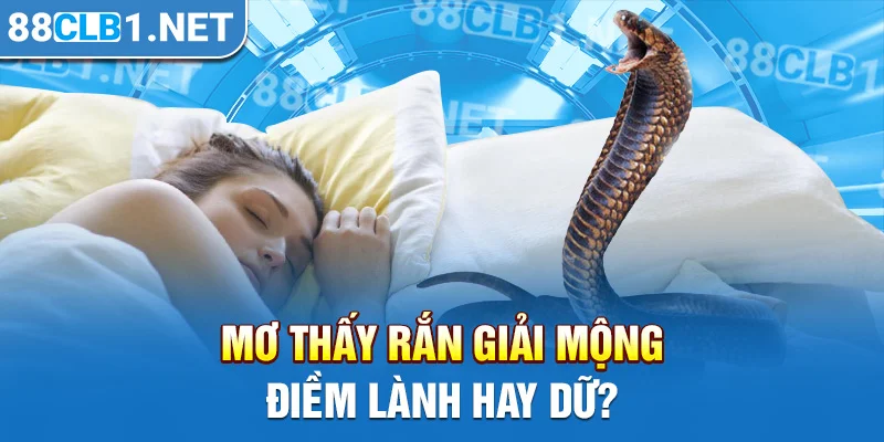 Mơ thấy rắn giải mộng - điềm lành hay dữ?